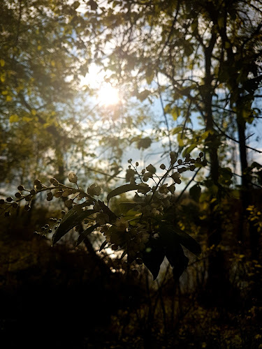 Comentarii opinii despre Splywanie.pl. Spływy kajakowe Pilicą. Kemping Tomczyce. Pole namiotowe nad Pilicą.