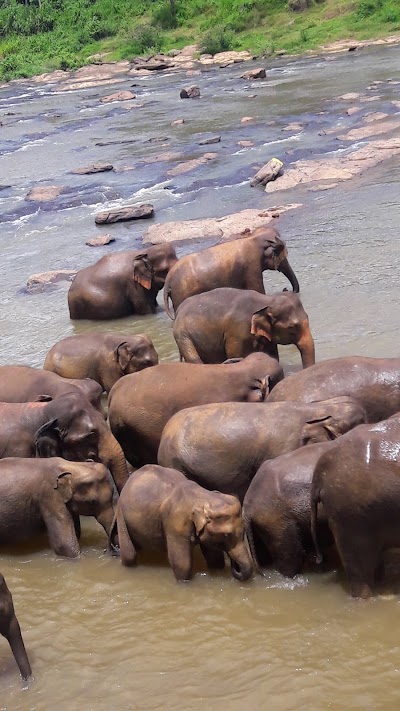 Photos of Round Tours Srilanka