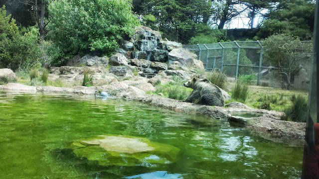 San Francisco Zoo