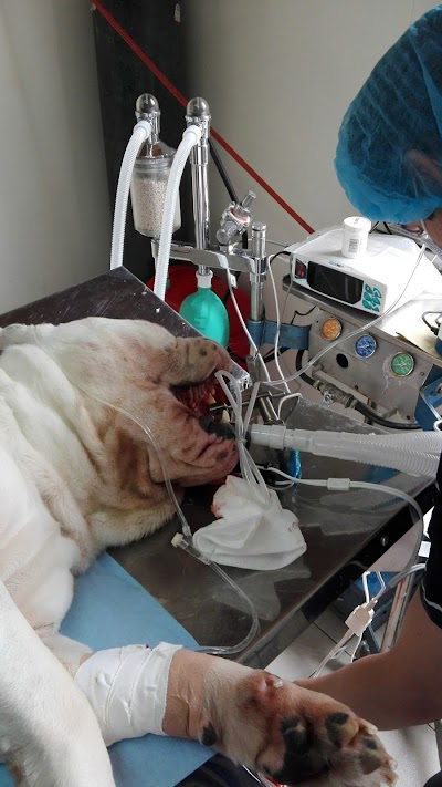 Photos of Cl&iacute;nica Veterinaria Mundo Pet Can