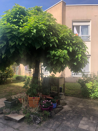Photo de EHPAD/USLD HIHL à Peyrat-de-Bellac (87300)