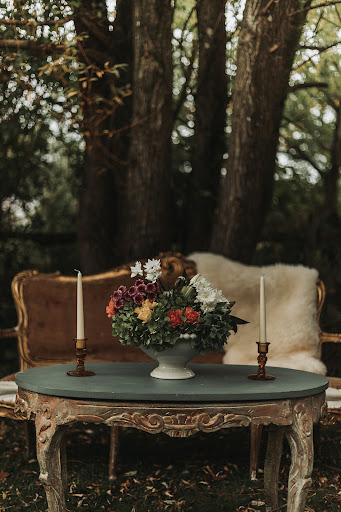 Fuzzy Monkey Florals - Visual