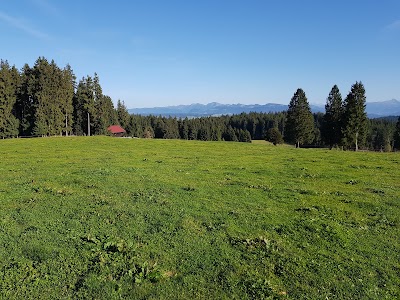 Photos of Hochberg
