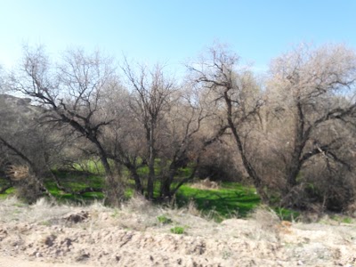 Photos of A&ccedil;ık Saray M&uuml;zesi
