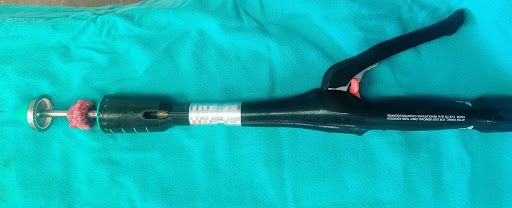 Gallery image 1058