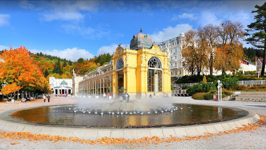 Kurvermittlung Vojtek Wettinerstraße 30, 08280 Aue-Bad Schlema