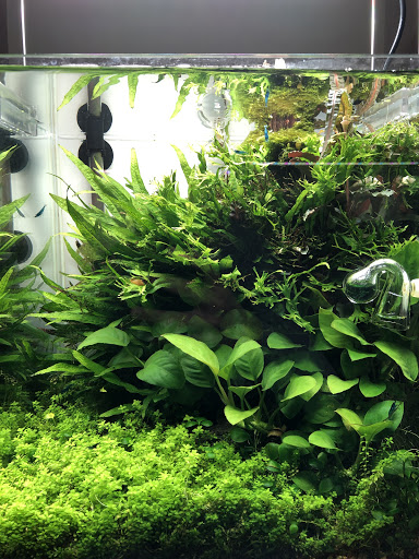 Pro-Aquarium - Thumbnail