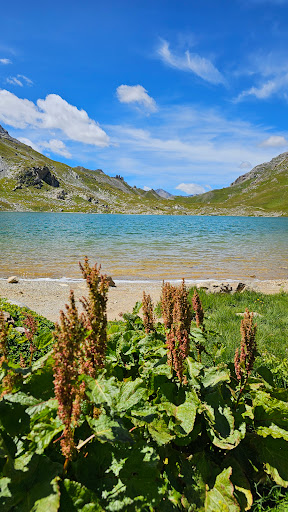 Lac Rond Gallery - France