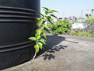 Photos of VangaBari ভাঙ্গাবাড়ী, স্থপতি : সৃজনশীল ময়না হাজী
