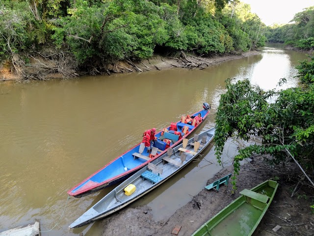 Réserve de Cuyabeno
