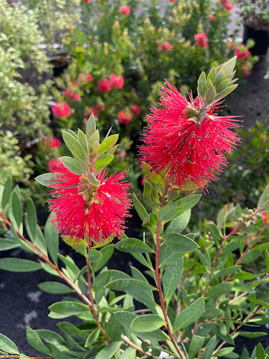 Photo de Créa Bâti Jardin à Pipriac (35550)