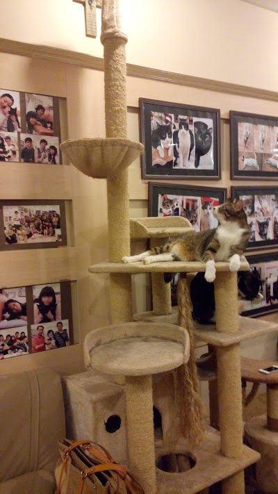 photo of Cats Arts-Cat.Art.Home