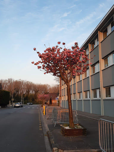 Elementary School Abbé Bonpain - Thumbnail