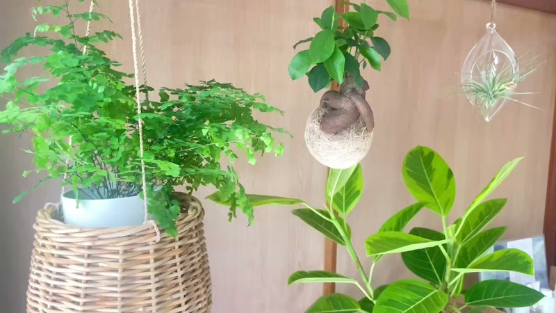 古民家サロンMökki