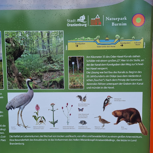 Informationen - Visual