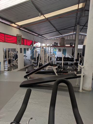 Gym Master Kaly
