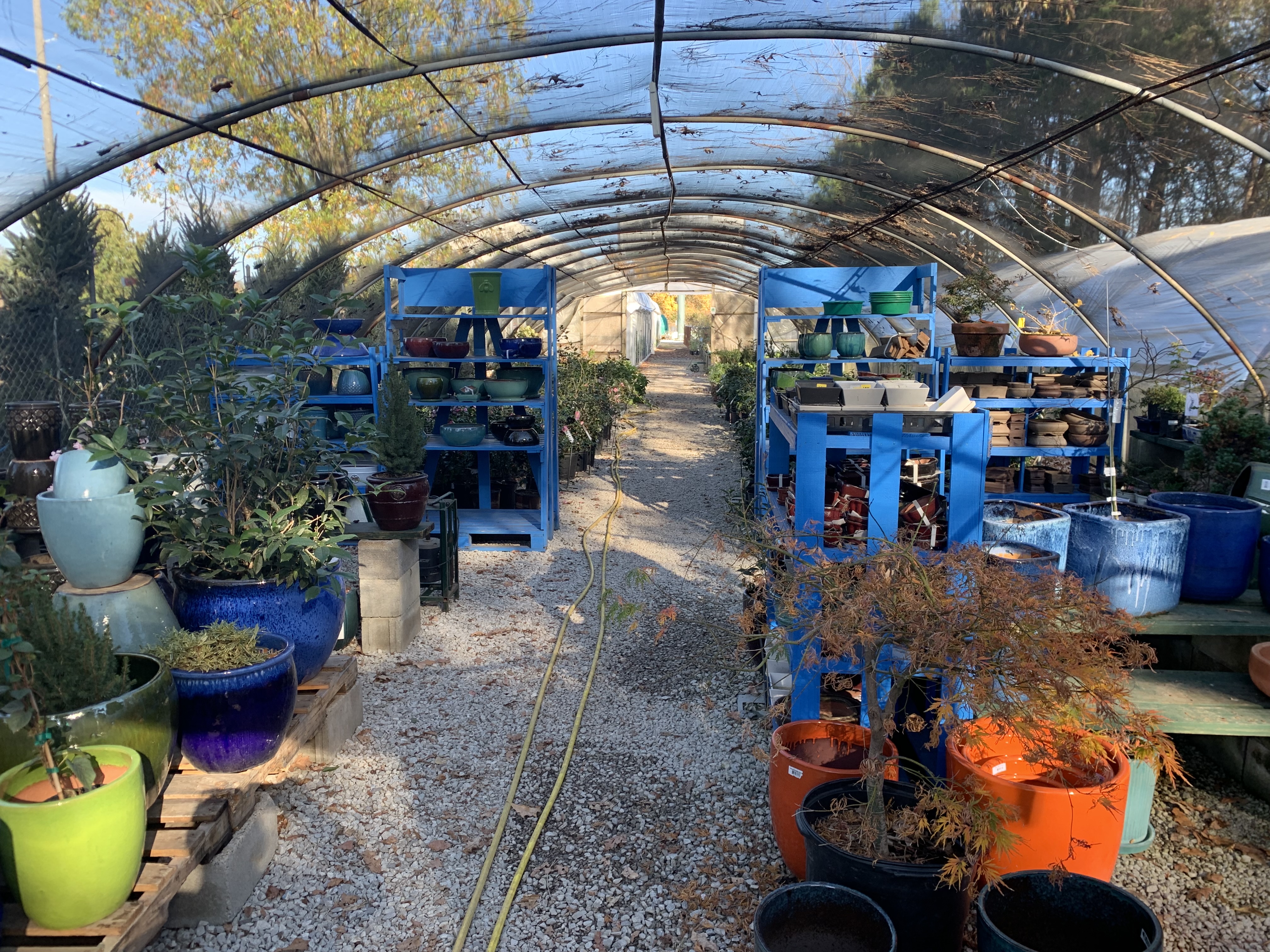 The Catbird Seat Garden Center