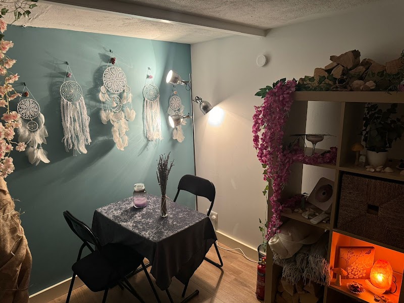 The Hare And The Moon photo 2