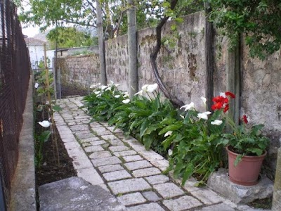 Photos of Masseria Della Casa