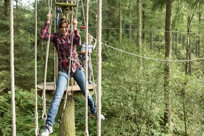 Go Ape Cockfosters Treetop Challenge Zip Lines High Ropes England 44 1603 5500