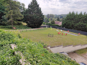 Photo n°11 de Aux Grappes du Pressoir à Seigy (Gîte)