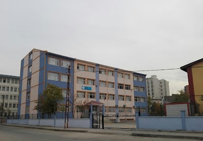 university