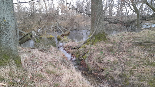 Kleiner See mit Quelle - Thumbnail