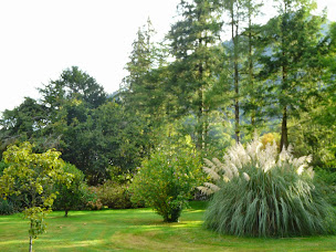 Photo n°13 de Manoir d'Ossau à Izeste à Izeste (Gîte)