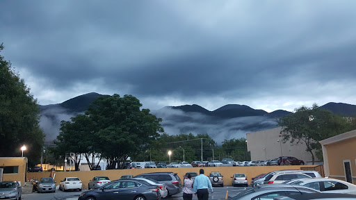 Amistad de Monterrey - Thumbnail