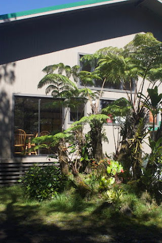 Holo Holo In by null