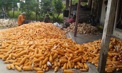 Photos of Belyart