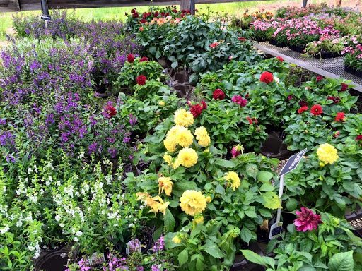 TaraCotta Garden Outlet - Thumbnail