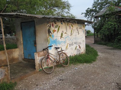 Photos of Lamin Lodge