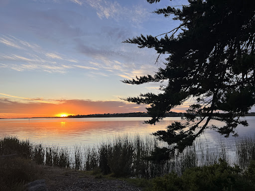 Richard Ballard Park - Thumbnail