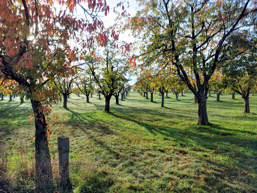 Hornsberg - Visual