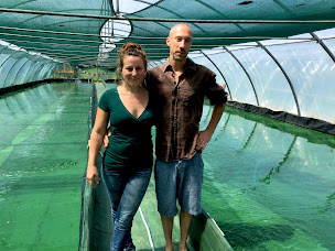 Photo n°4 de Spiruline Ôde des Pyrénées, producteur de spiruline biologique paysanne française à Castelbiague (Ferme aquacole)