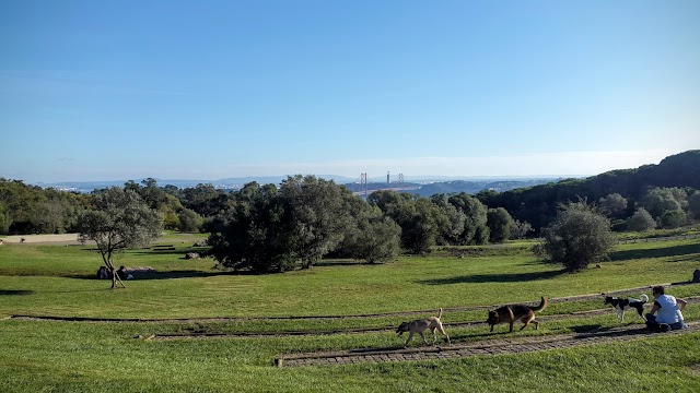 Parque Florestal de Monsanto