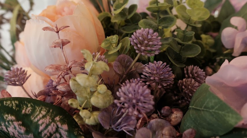 Euphoria Wellness Weed Dispensary by null