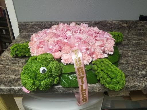 Flowers West - Visual