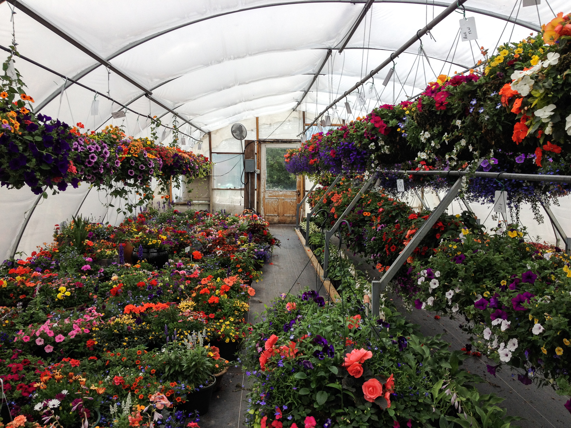 Pitkin Mesa Gardens, LLC