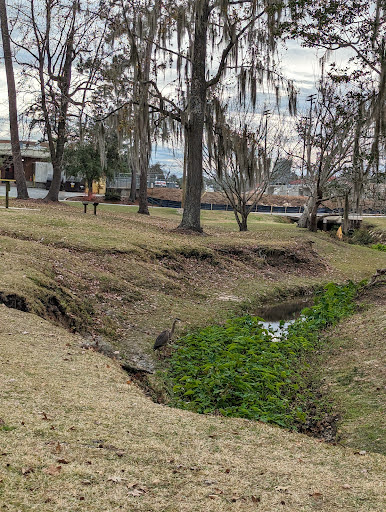 MacIntyre Park - Visual