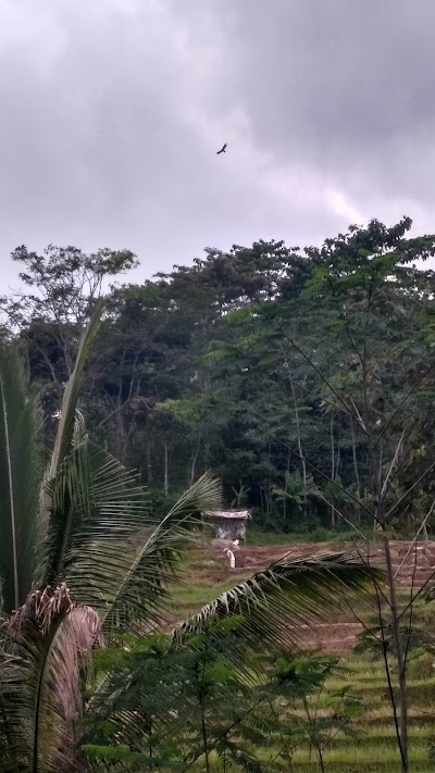 Photos of Pertapaan Osk