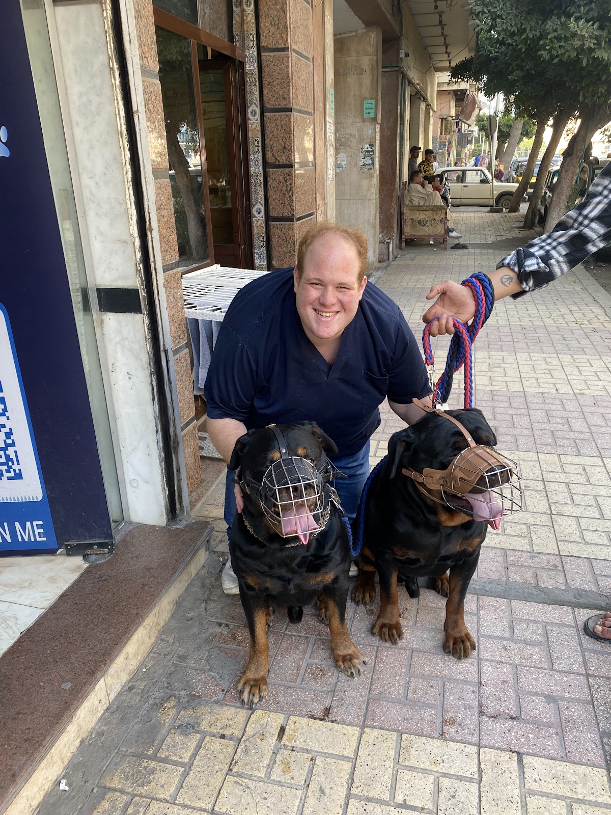 عيادة PUFFY PAWS البيطرية - صورة 3