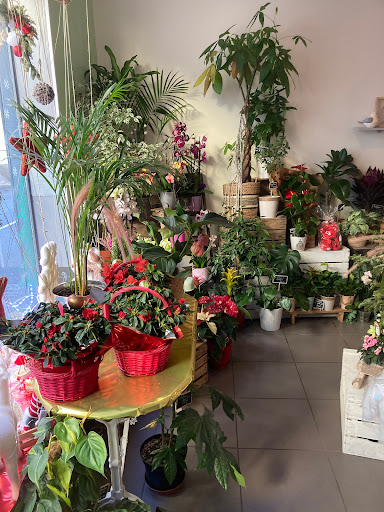Aux fleurs d'Elina - Thumbnail