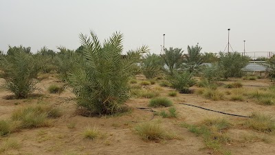 Photos of Farm Faraj Diab Jawasri