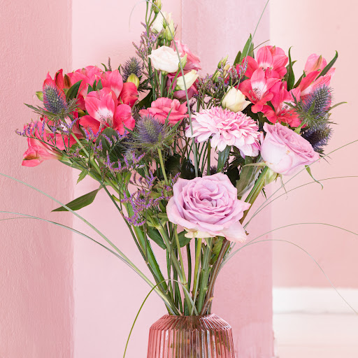 Bloomy Days - Visual
