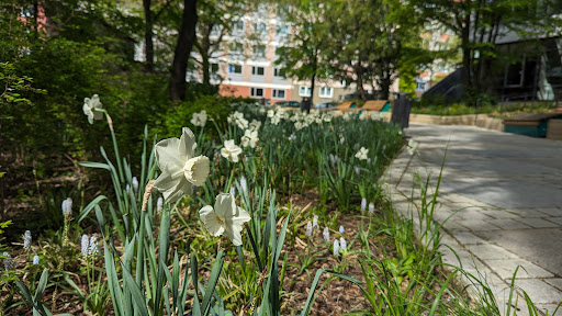 Pocket Park Peststadel - Thumbnail