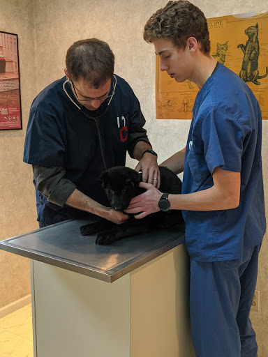 Worner Veterinary Hospital