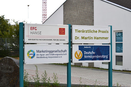 Dr. med. vet Martin Hammer - Thumbnail