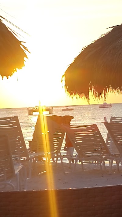Photos of AVIS Palm Beach, Aruba
